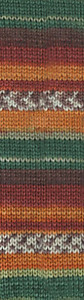 SUPERWASH 100 4447