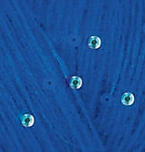 ANGORA GOLD STAR 141 василёк